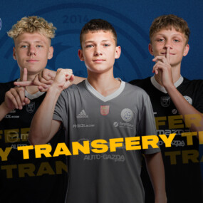 dap-transfery-strona kopia